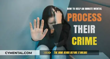 Supporting Inmates: Strategies for Processing and Healing After Committing Crimes