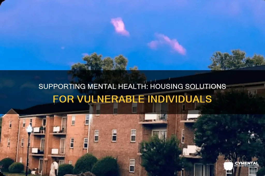 how to help by providing housing for mentally ill individuals