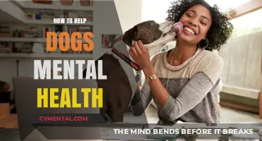Nurturing Your Dog’s Mental Well-Being: Essential Tips for a Happy Pup