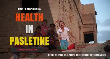 Supporting Mental Health in Palestine: Strategies for Resilience and Healing