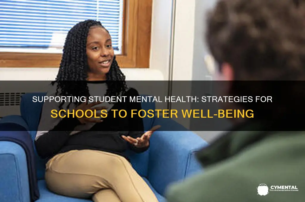 how to help mental health issues in schools