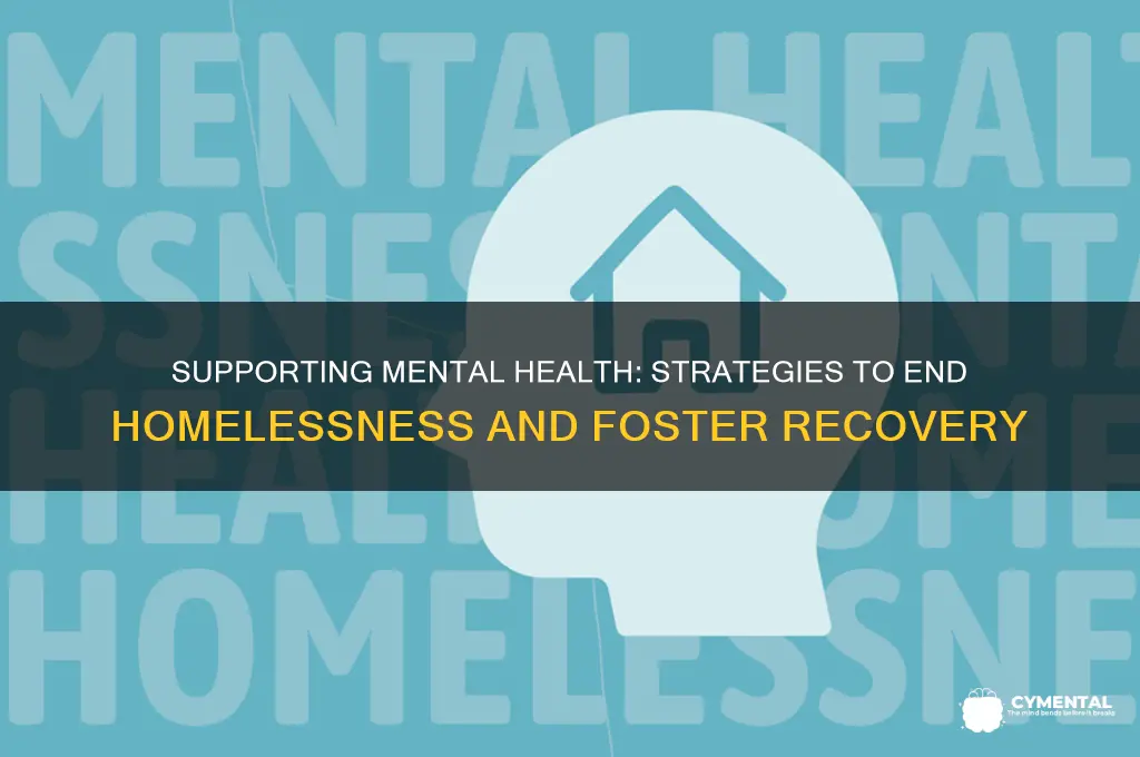 how to help mental illness homelessness