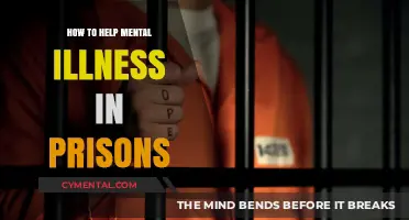 Supporting Inmate Mental Health: Strategies for Prison Reform and Recovery