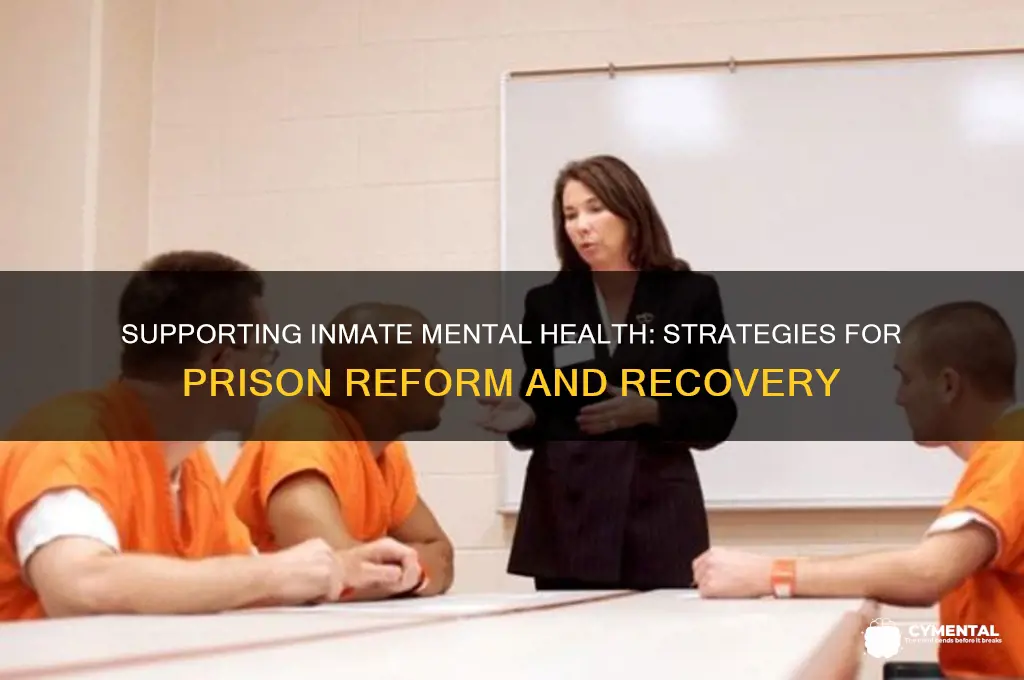 how to help mental illness in prisons