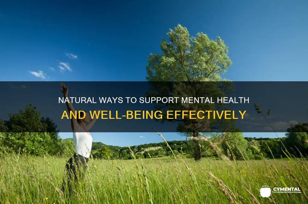 how to help mental illness naturally