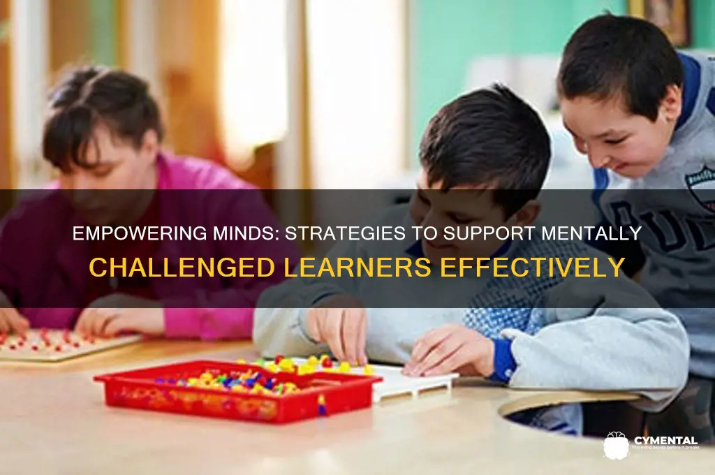 how to help mentally challenged learners