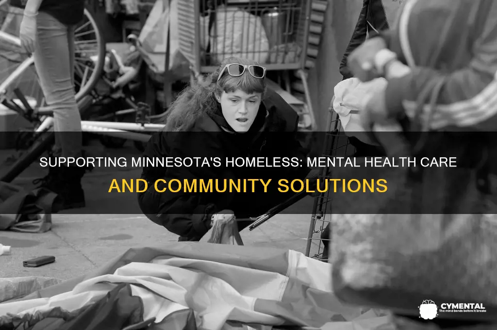 how to help mentally ill homeless minnesota