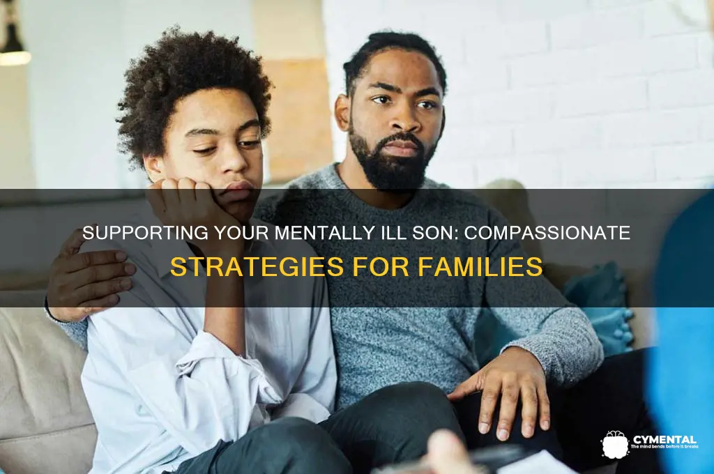 how to help my mentally ill son