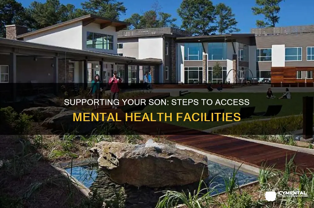how to help my son get into a mental faciltiy