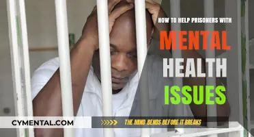 Supporting Incarcerated Minds: Strategies for Improving Prisoner Mental Health