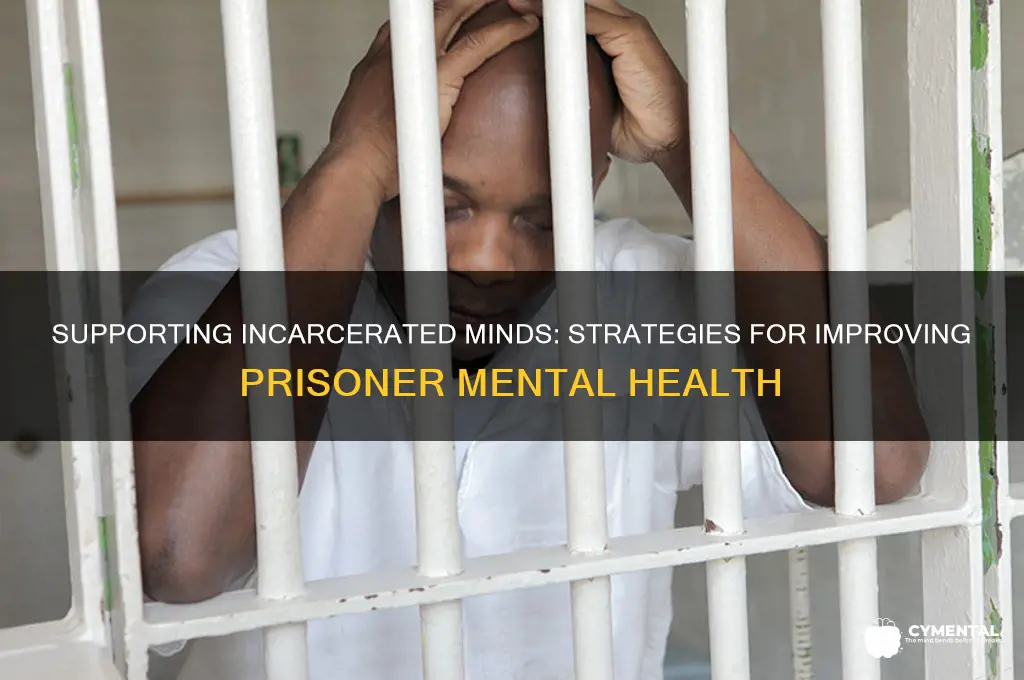 how to help prisoners with mental health issues