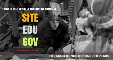 Supporting Severely Mentally Ill Homeless Individuals: Effective Strategies and Resources