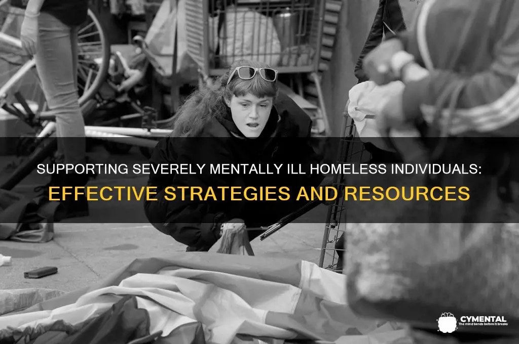 how to help severely mentally ill homeless site edu gov
