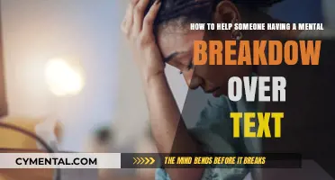 Supporting Through Crisis: Text-Based Strategies for Mental Breakdown Assistance