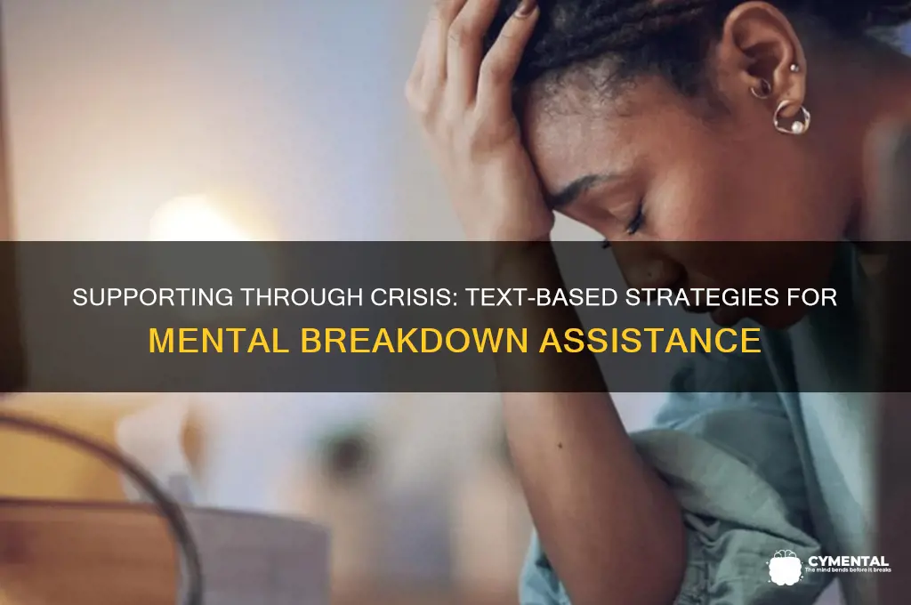 how to help someone having a mental breakdown over text