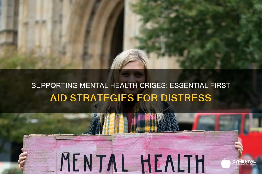 how to help someone in distress mental health first aid