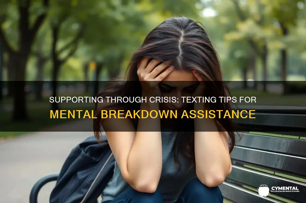 how to help someone with a mental breakdown over text