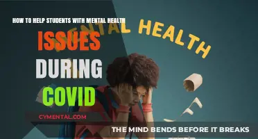 Supporting Student Mental Health: Strategies for Navigating COVID-19 Challenges
