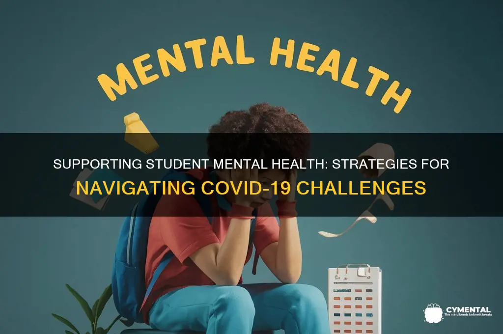 how to help students with mental health issues during covid