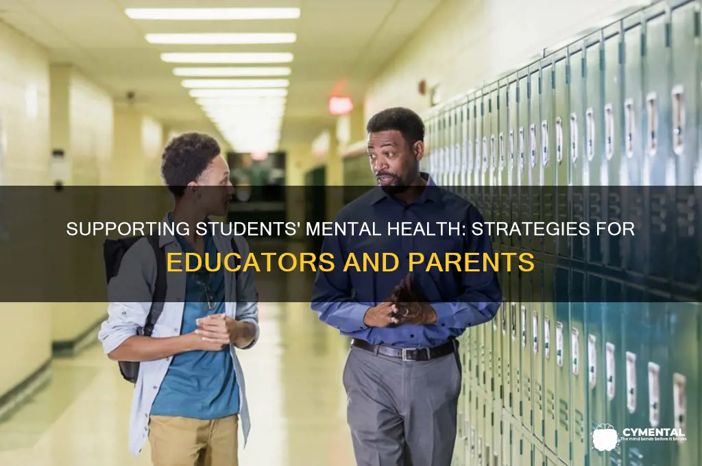 how to help students with mental illness