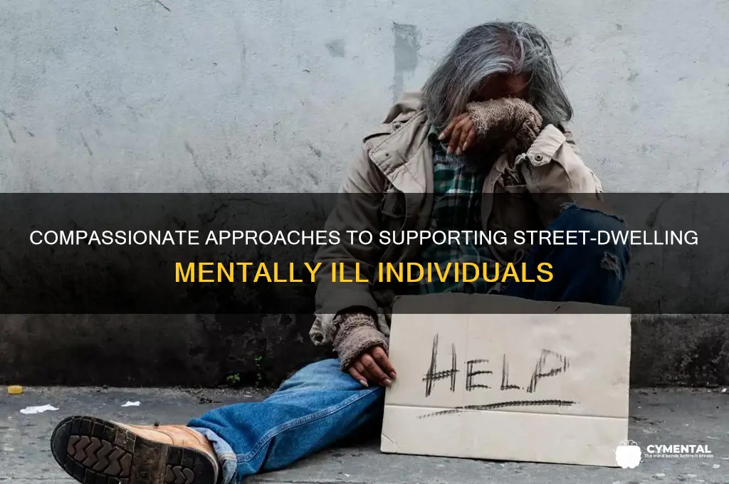 how to help the mentally ill on the street