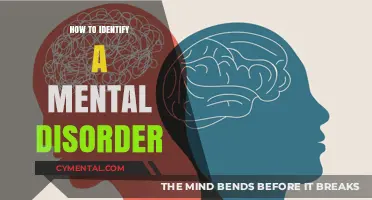 Unraveling the Complexity: A Guide to Recognizing Mental Health Disorders
