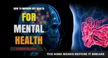 Nurturing Your Gut: A Pathway to Enhanced Mental Well-being