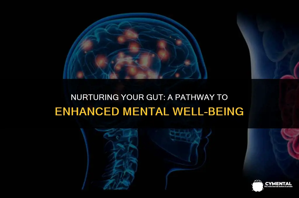 how to improve gut health for mental health