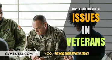 Identifying Mental Health Challenges in Veterans: A Comprehensive Guide