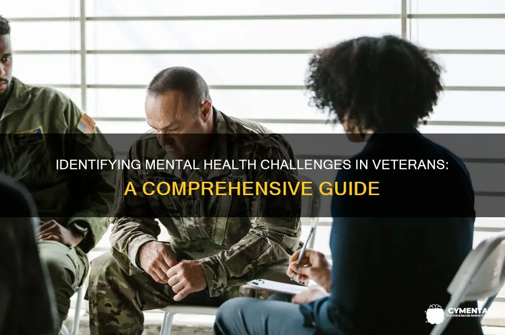 how to look for mental issues in veterans