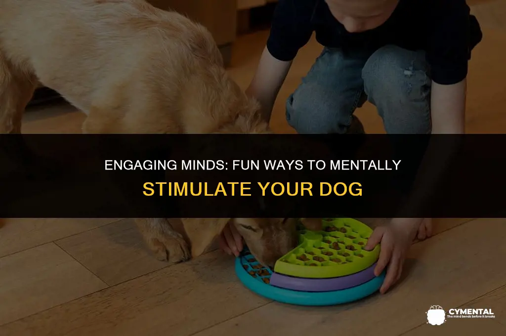 how to mentally stimulate a dog