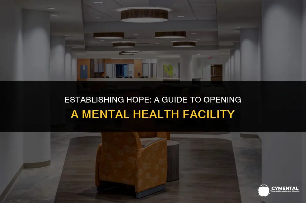 how to open a mental health facility