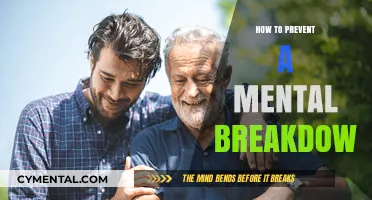 Safeguarding Your Sanity: Practical Tips to Prevent a Mental Breakdown