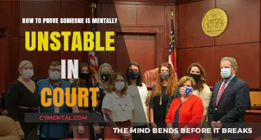 Unraveling Mental Stability: A Guide for Legal Proceedings