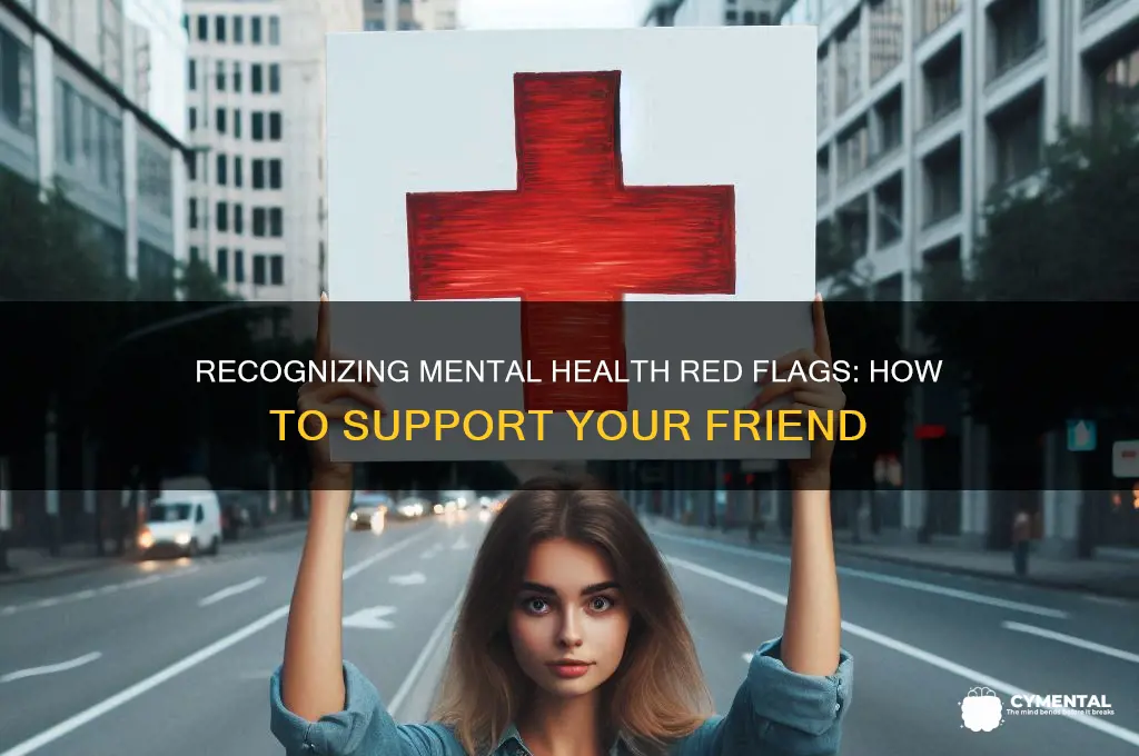 how to recognize signs that your friend has mental issues