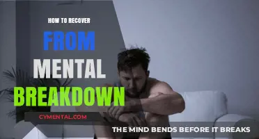Healing Minds: A Guide to Recovering from Mental Breakdown
