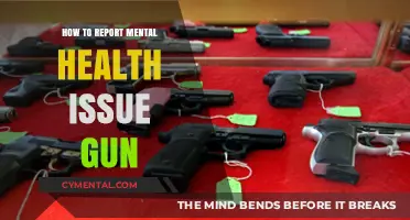 Reporting Mental Health Concerns and Gun Ownership: A Critical Guide