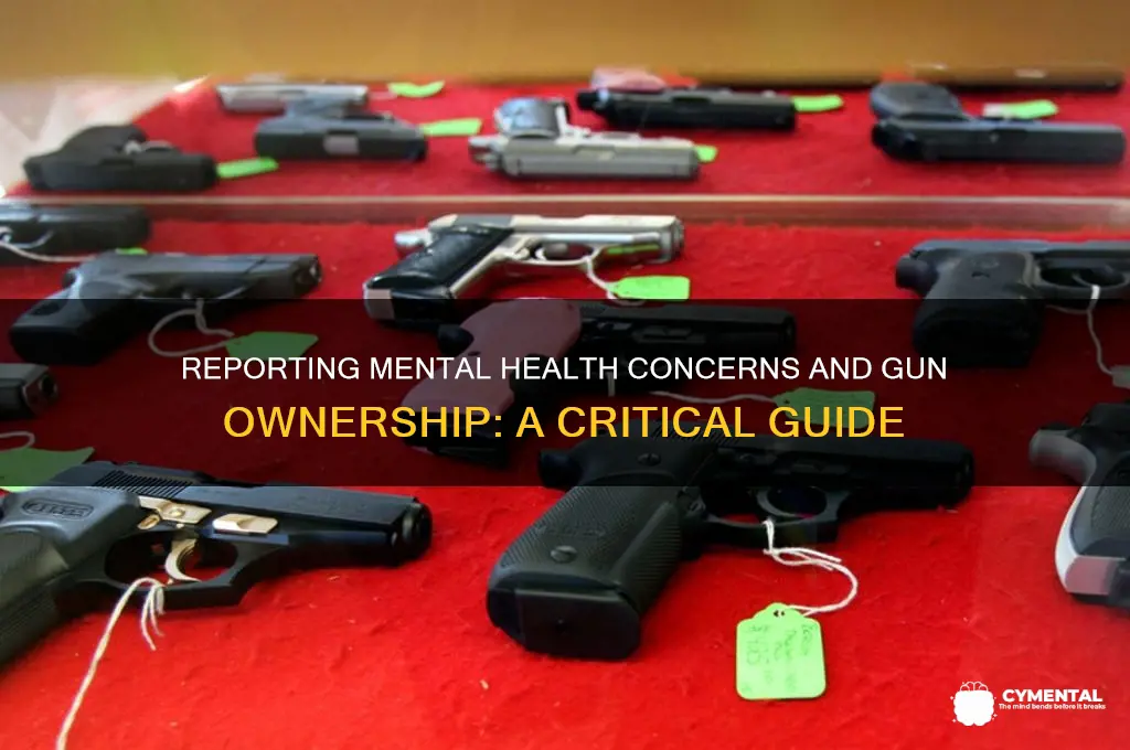 how to report mental health issue gun