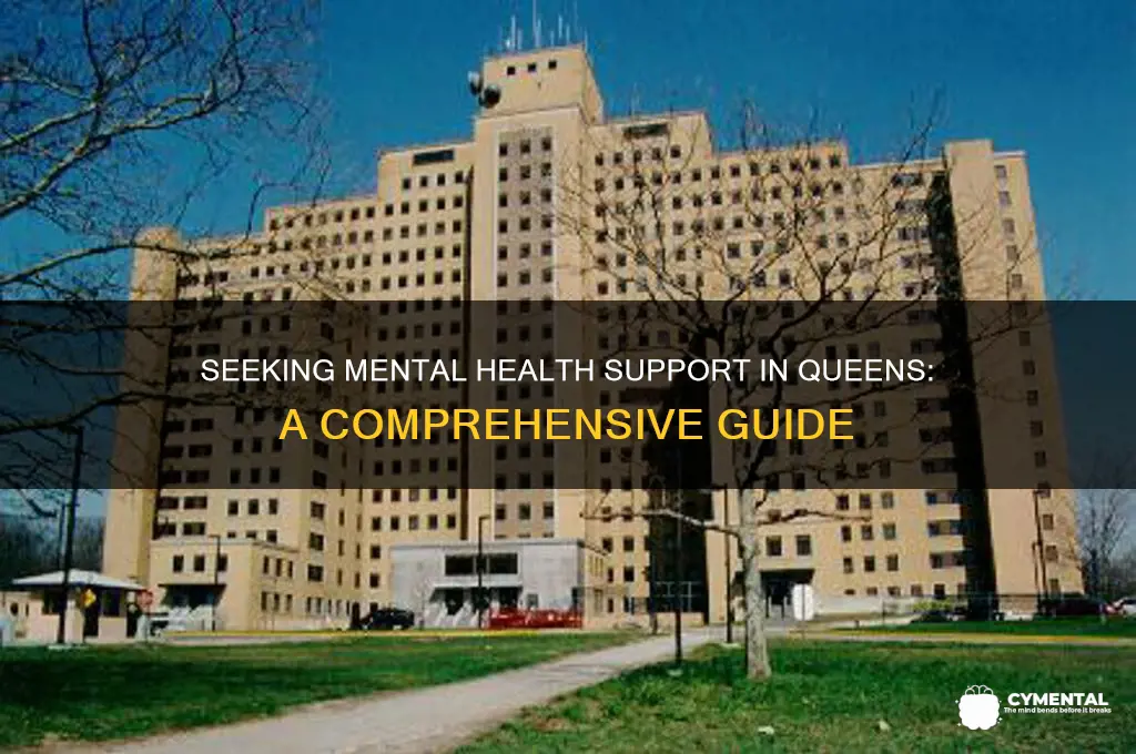 how to seak help for mental disorders in queens