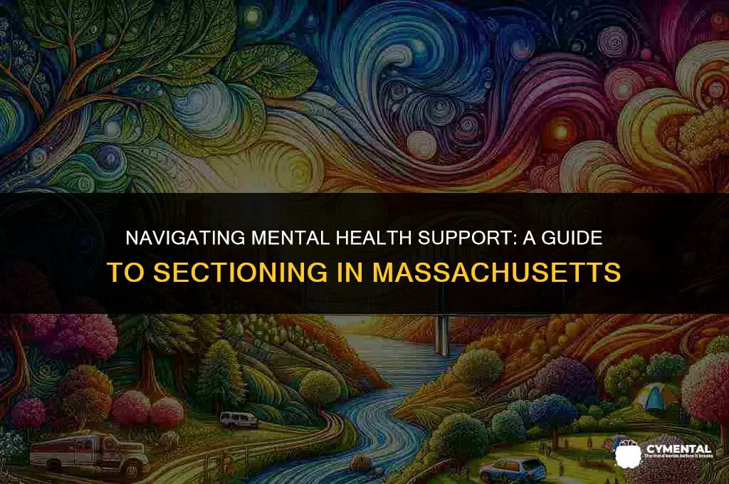 how to section someone for mental health in massachusetts