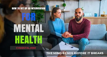 Guiding Steps: Setting Up a Mental Health Intervention