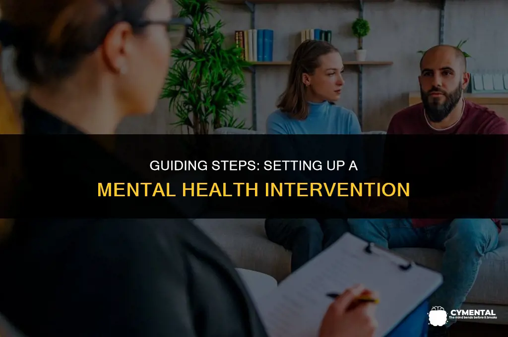 how to set up an intervention for mental health