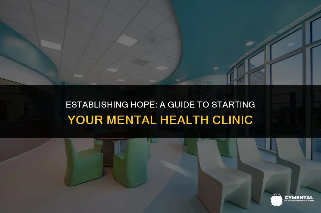 how to start a mental health clinic