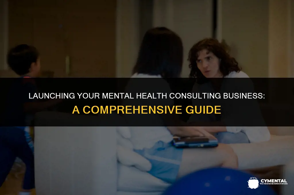 how to start a mental health consulting business