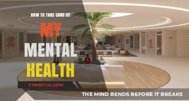 Nurturing Your Mind: A Guide to Mental Health Care