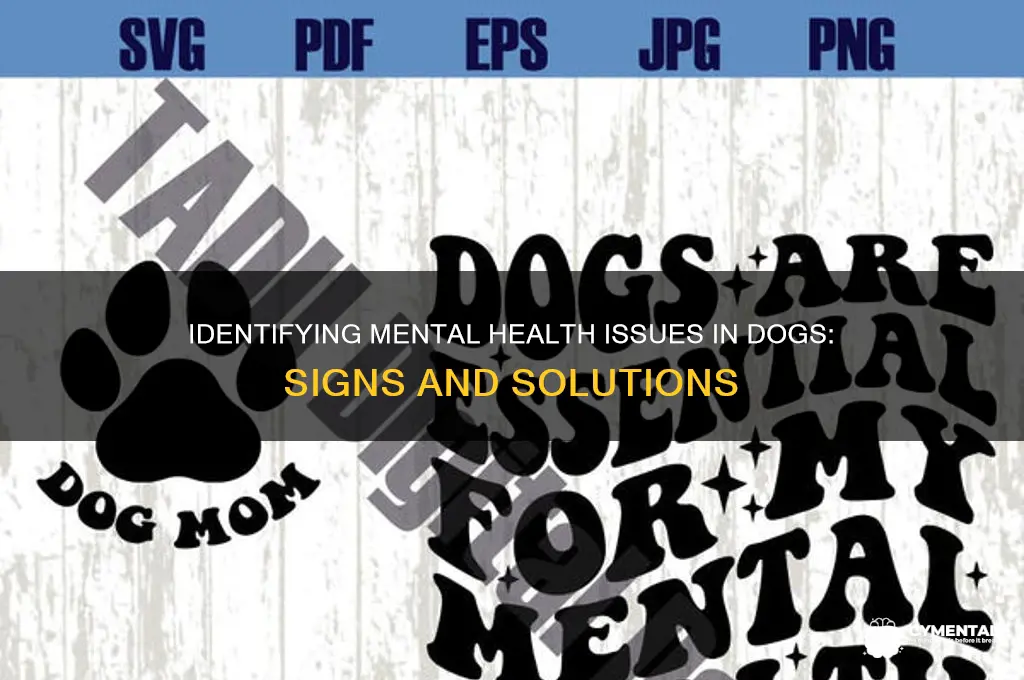 how to tell if a dog has mental issues