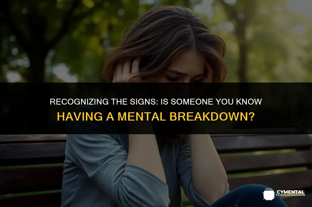 how to tell if someone is having a mental breakdown