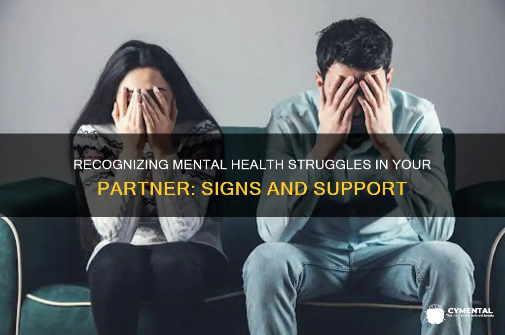 how to tell if your partner has mental health issues