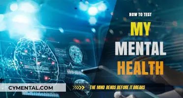 Exploring Your Mind: A Guide to Assessing Mental Health