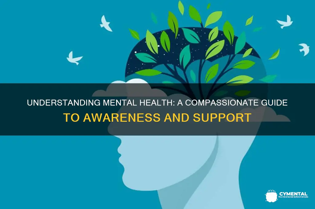 how to understand mental health issues
